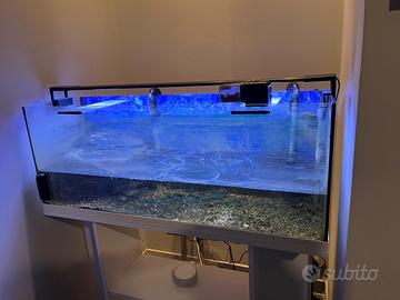 Acquario 120 litri