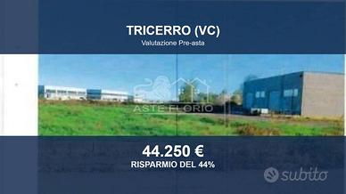 Immobile in asta di 2810 m² a Tricerro