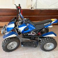 Mini Quad 50 cc con Avviamento Elettrico