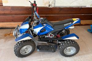 Mini Quad 50 cc con Avviamento Elettrico