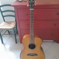 Chitarra folk