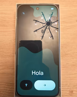 Google Pixel 9 