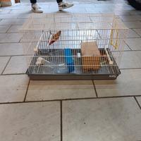 Gabbia per uccellini 