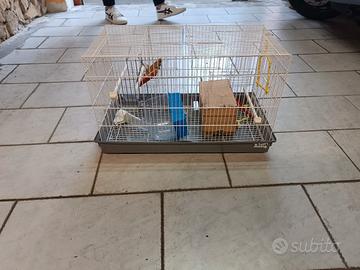 Gabbia per uccellini 