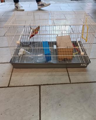 Gabbia per uccellini 