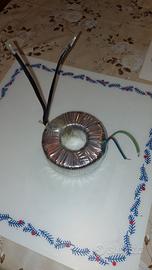 trasformare torroidale 