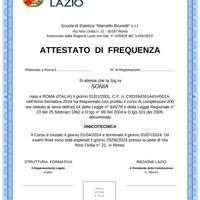 Attestato parrucchiera