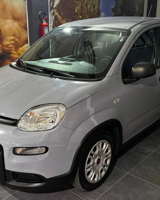 Fiat Panda 1.0 FireFly S&S Hybrid 70cv KM 20'277