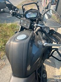 BENELLI TRK 502