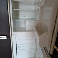 frigo rex 