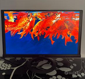 Schermo Asus 23 pollici