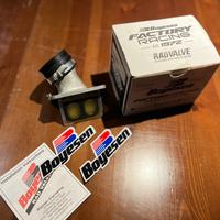 Pacco lamellare Boyesen kx 125 2003