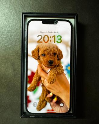 Iphone 13 promax 256gb blue sierra schermo crepato