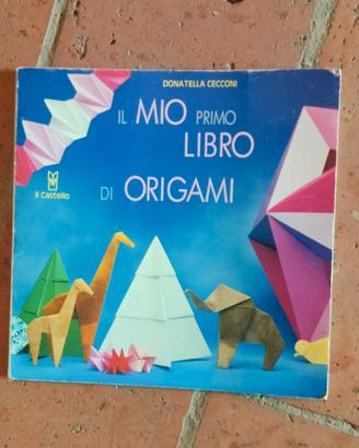 Il mio primo libro di origami 
