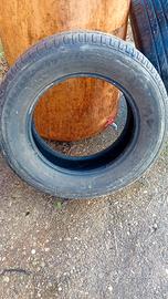 gomme estive 