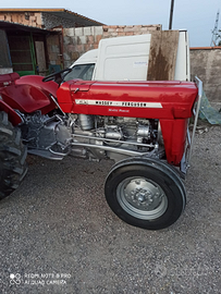 Massey Ferguson 135