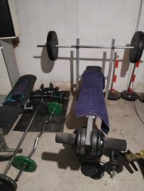 palestra