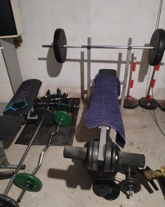 palestra