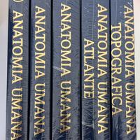 Anatomia umana edi Ermes