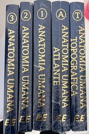 Anatomia umana edi Ermes