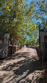 Tenuta Panoramica: 3 Abitazioni 7000mq di terreno