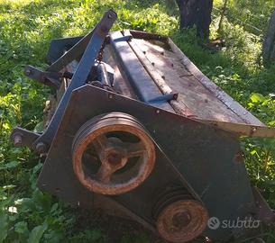 Trinciaerba--Trincia rovi