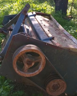 Trinciaerba--Trincia rovi