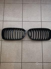 Griglia anteriore BMW f20