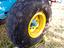 Immagine 5