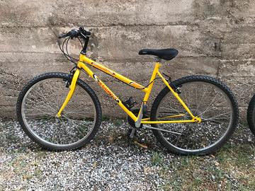 Bicicletta con telaio basso 26 pollici