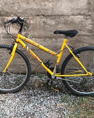 Bicicletta con telaio basso 26 pollici