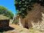 Immagine 29