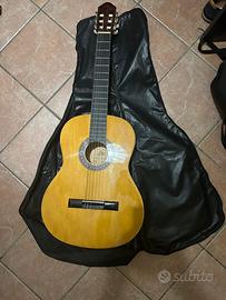 Chitarra Eko per principianti