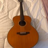 Chitarra acustica aria maister AMS 02N
