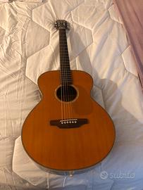 Chitarra acustica aria maister AMS 02N