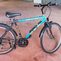 Bicicletta Mountain Bike