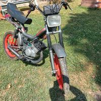 Mzv cobra minarelli p4