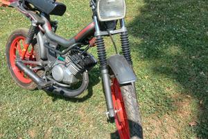 Mzv cobra minarelli p4