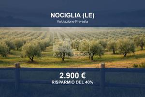 Immobile in asta di 3017 m² a Nociglia