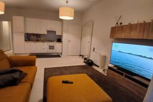 Indipendente arredato+terrazzo+garage+cantina