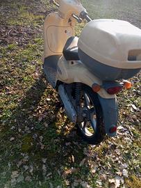 Scooter scarabeo