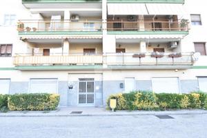 4 LOCALI A POLLENA TROCCHIA