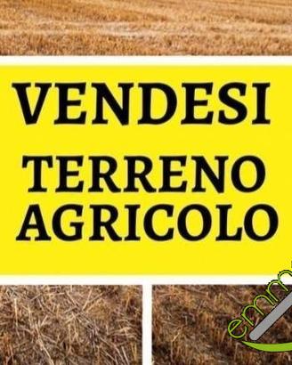 TERRENO AGRICOLO