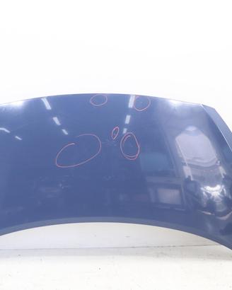 COFANO ANTERIORE HYUNDAI i10 Serie 66400B9000 (13>