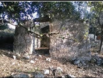 Terreno in strada provinciale Anagni-Acuto, 66