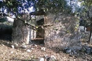 Terreno in strada provinciale Anagni-Acuto, 66