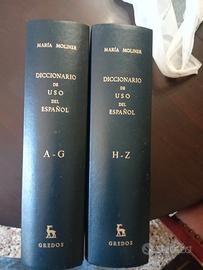 dizionario 