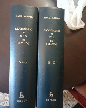 dizionario 