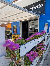 Pizzeria forno a legna