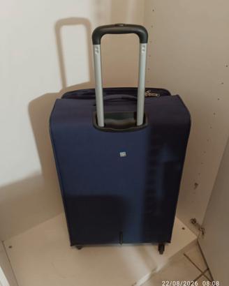 Trolley Grande Roncato